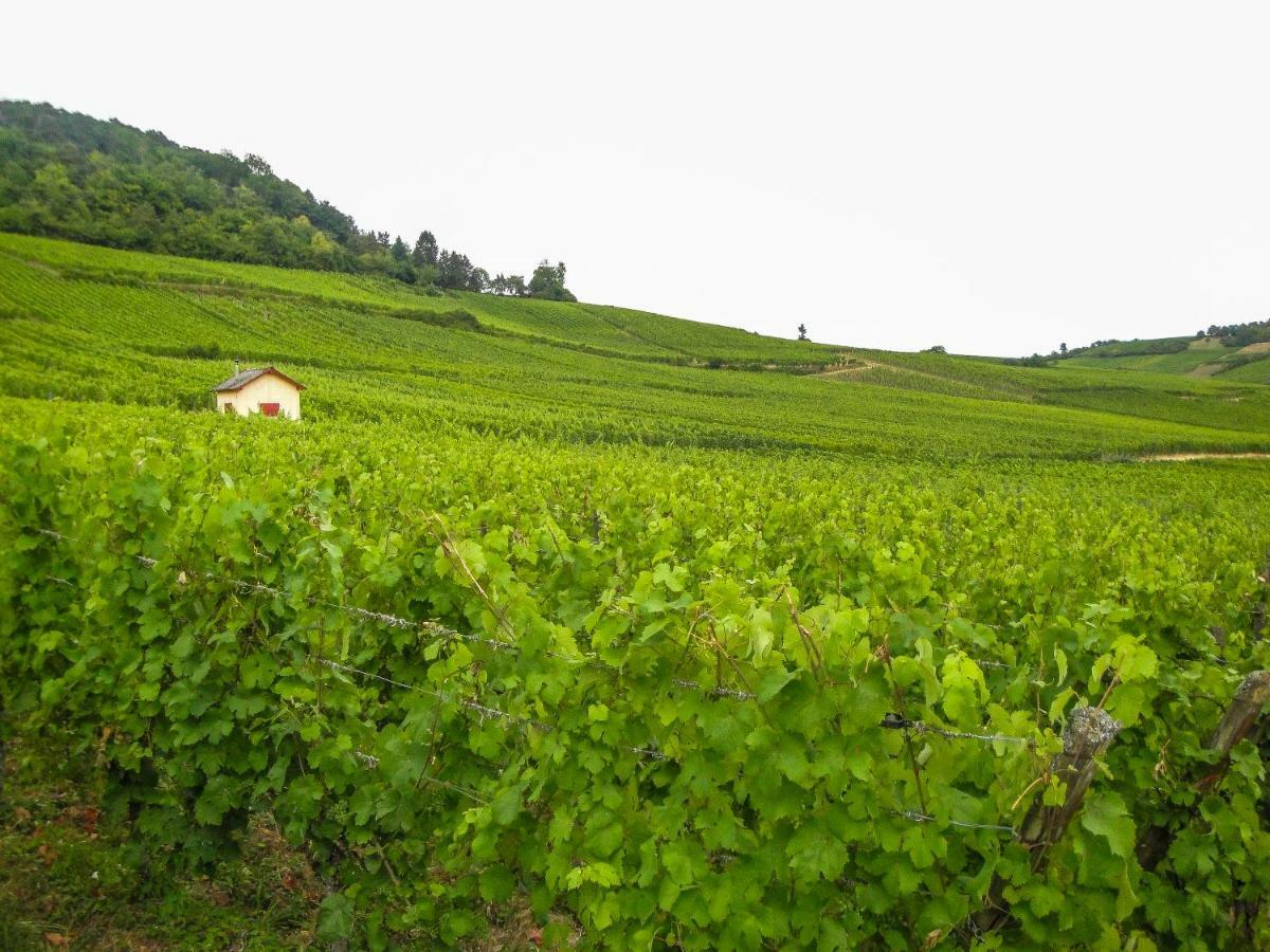 Gite Galerie Le 1892 Au Coeur Du Vignoble Рибовиль Экстерьер фото